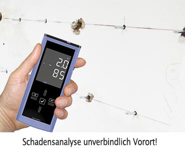 Unverbindliche Schadensanalyse im Keller Kostenfreie Analyse